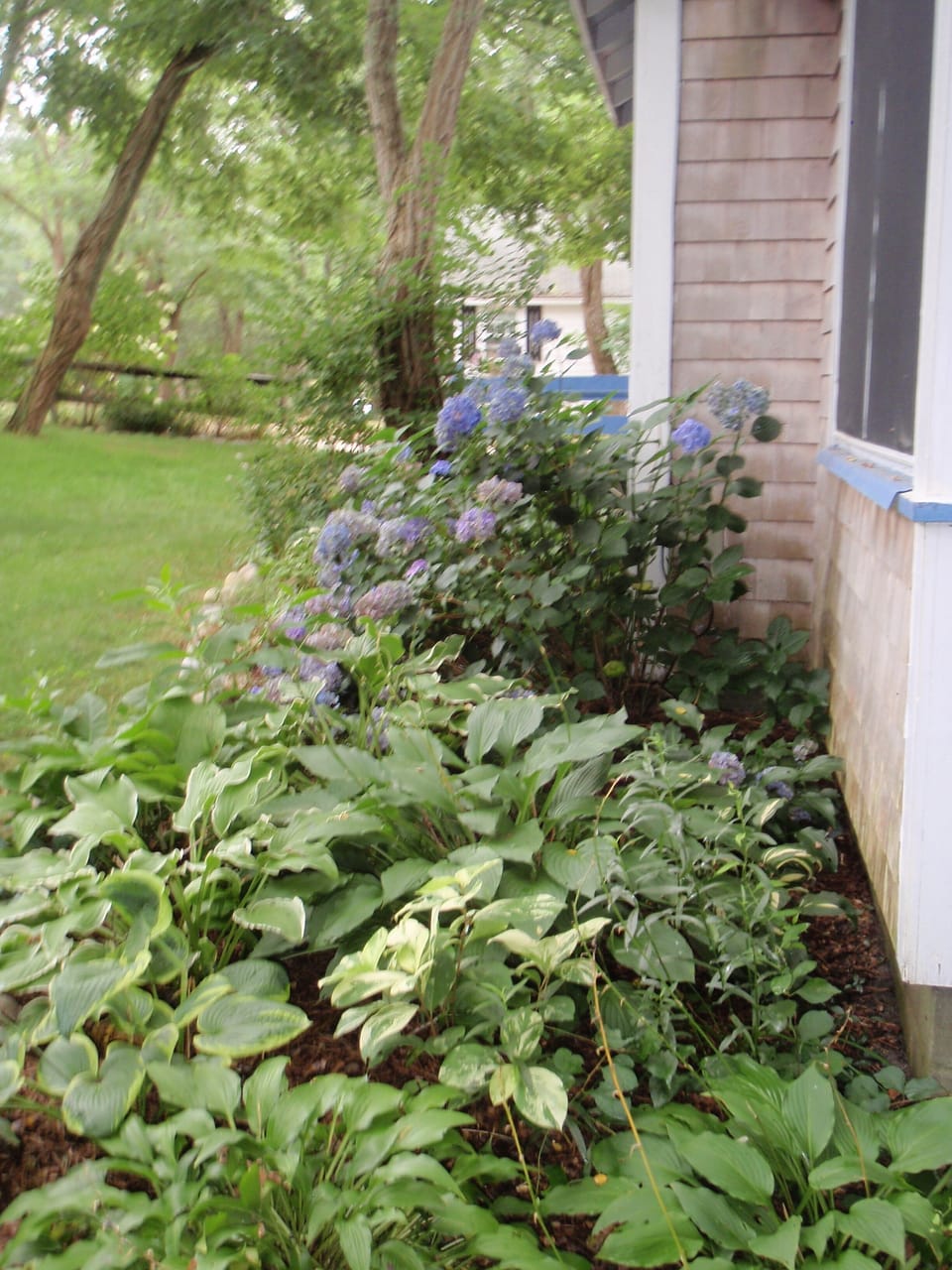 Gardens, side of cottage