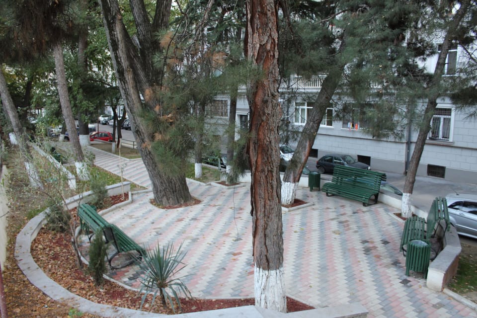 Another view of Well maintained park, yard side 