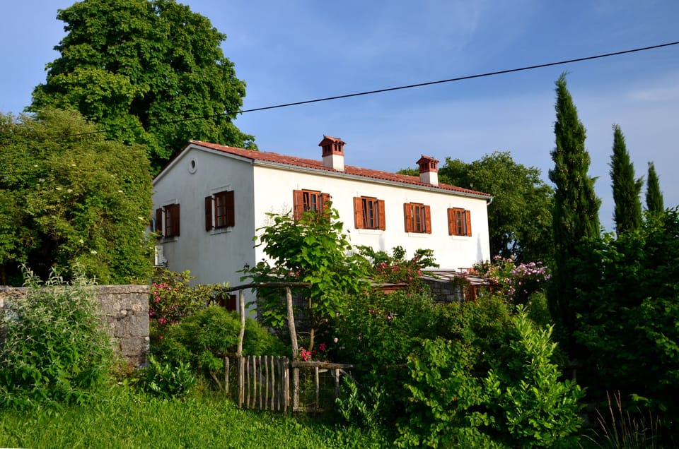 Semi-detached House with Garden