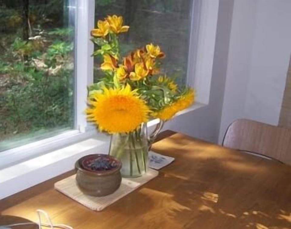 sunshine breakfast