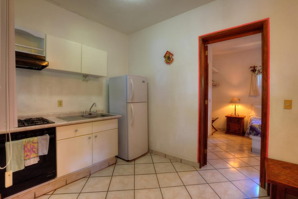 Gringo's kitchen and living room.
