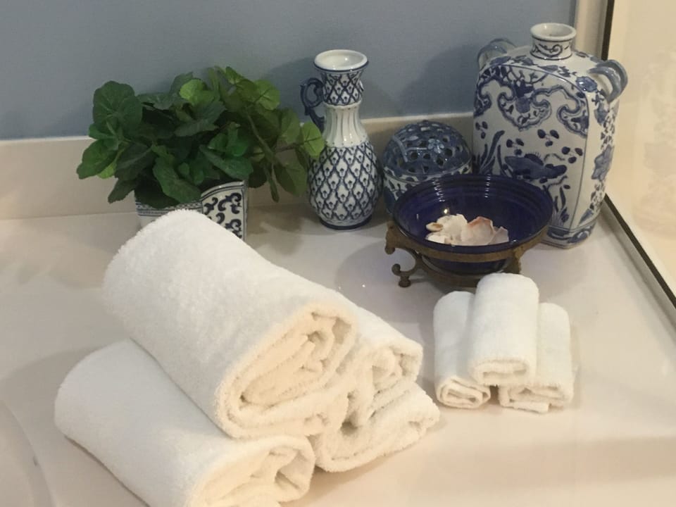 The master bathroom has all of the extras.