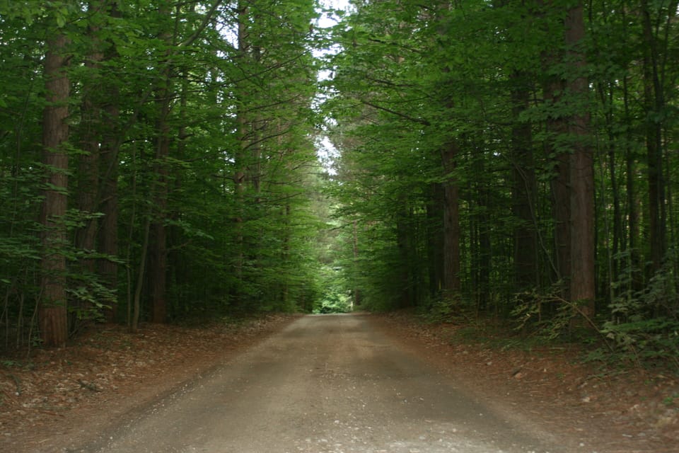 Driveway to the Big  Dipper cottage!  Let the family memories begin!