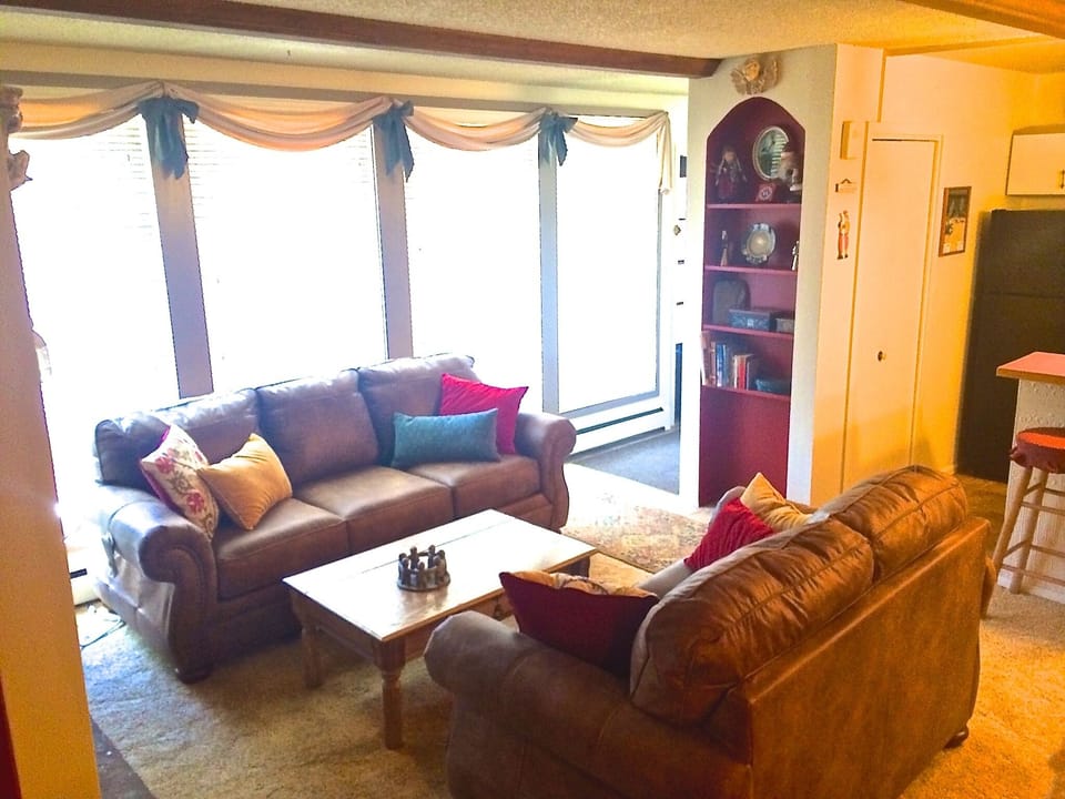 Cozy living room with Queen Size Sleeper Sofa 
