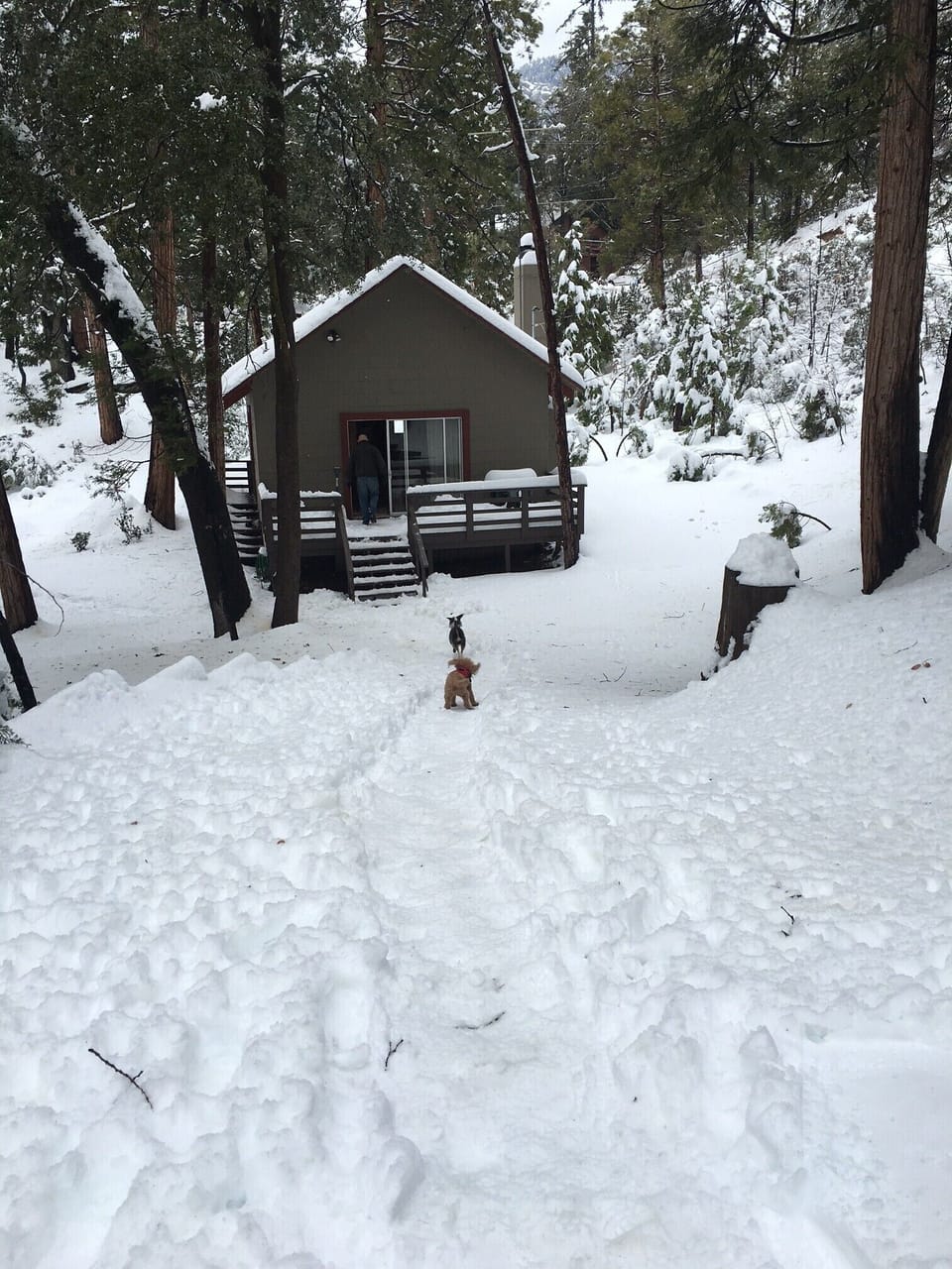 Winter Snow!!!
