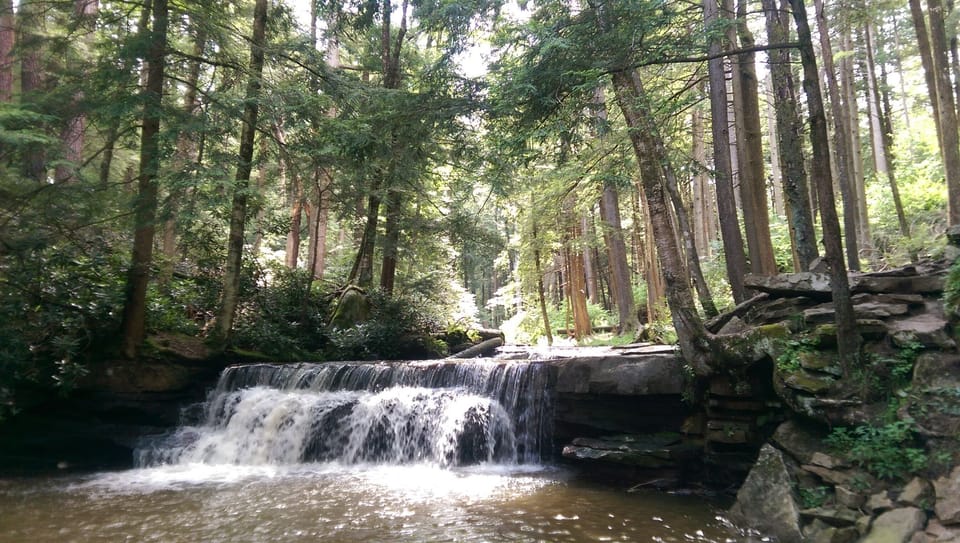 Swallow Falls (3.3 Miles away from cottage)
