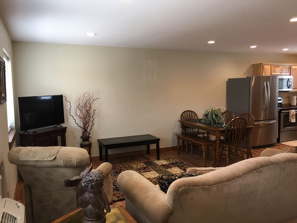 Living room with sofa sleeper