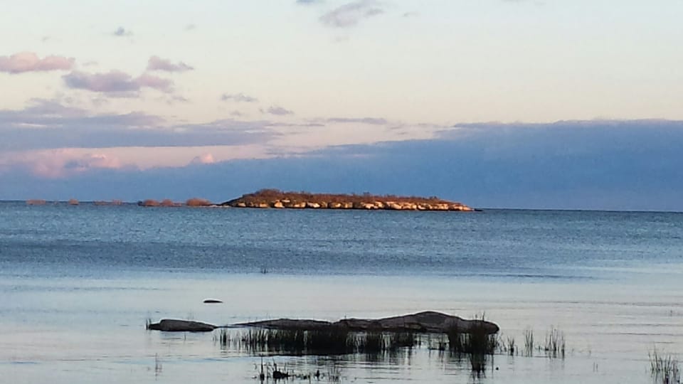 View of Hog Island from the shoreline