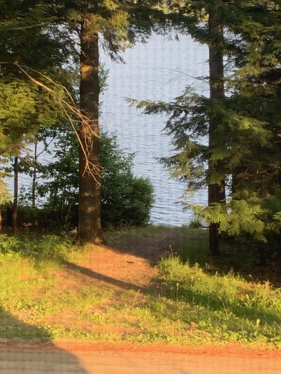 View through screen door from living room. You can see the narrow dirt road.