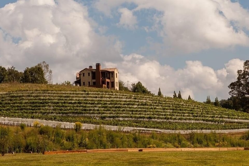 View from down below with vineyard