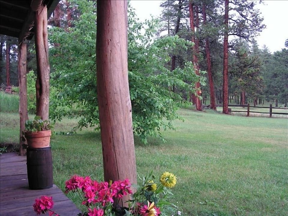 The cabin porch with flowers filling the planters.   
