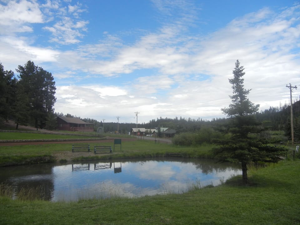 View of the pond from the porch steps.