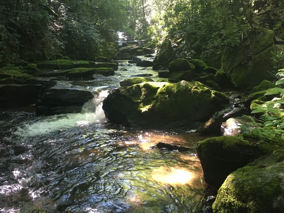 More of my photos of ConnesteeFalls hiking trails