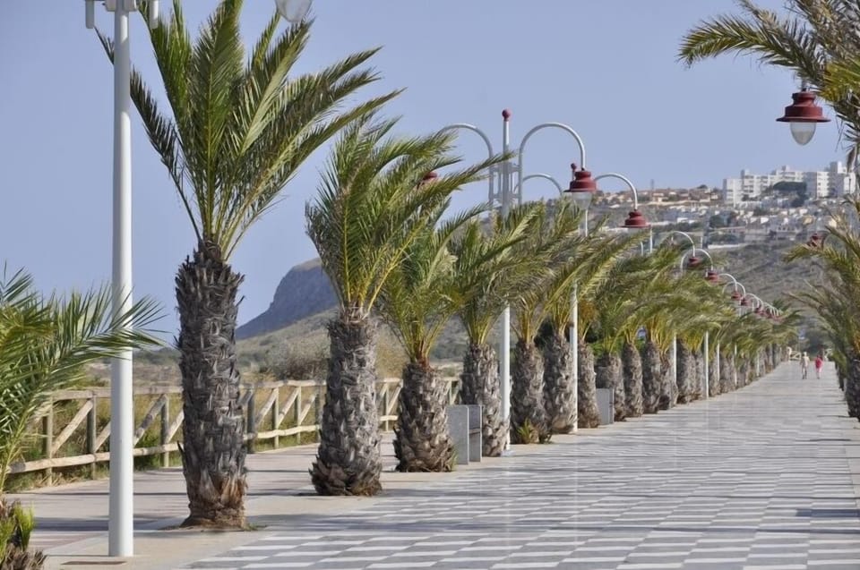 Local area