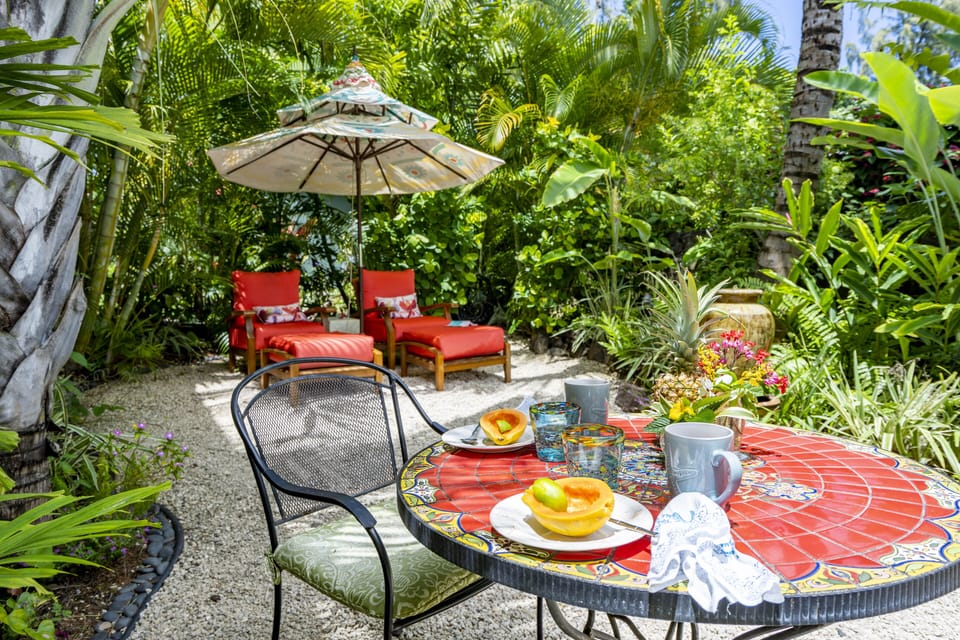 Your private garden for relaxing, dining and bird-watching
