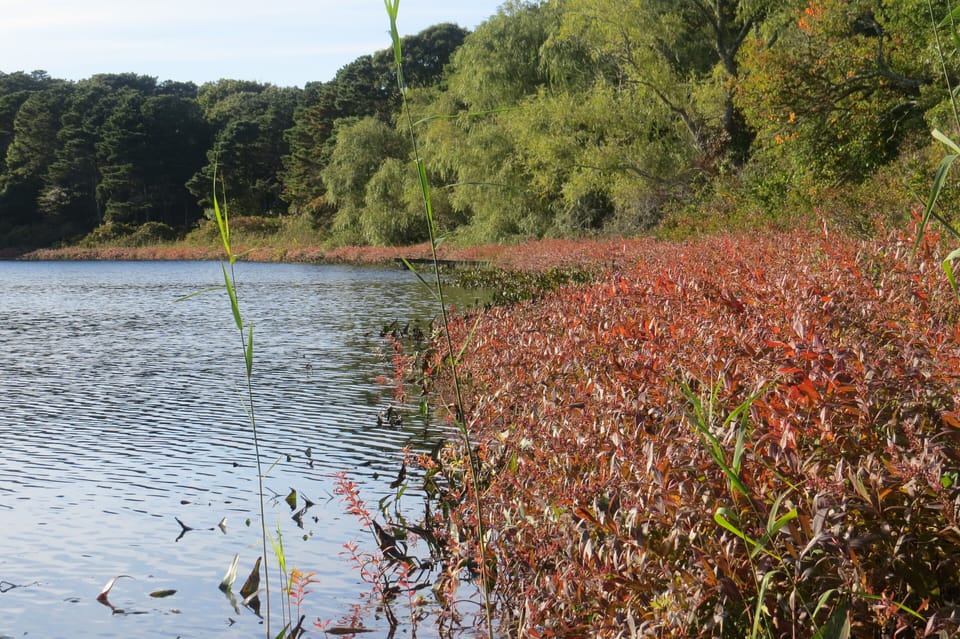 Early October Stillwater Pond