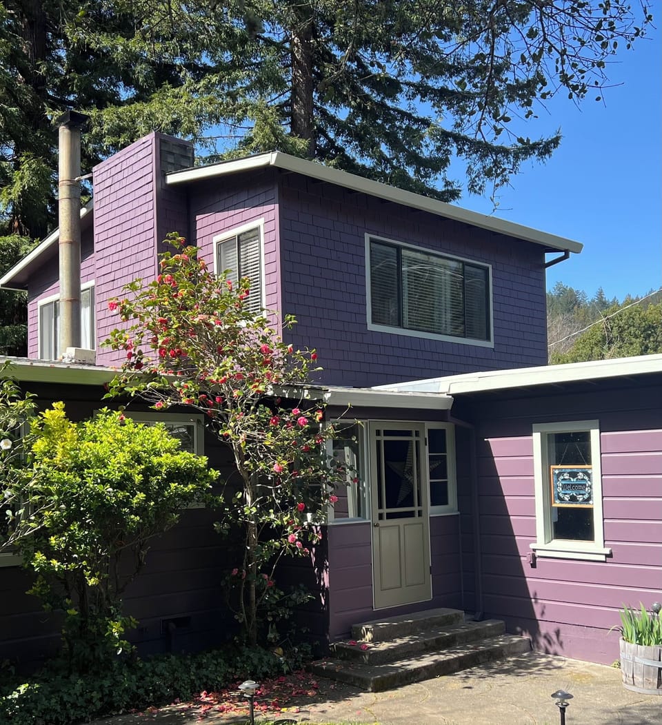 View of house from street