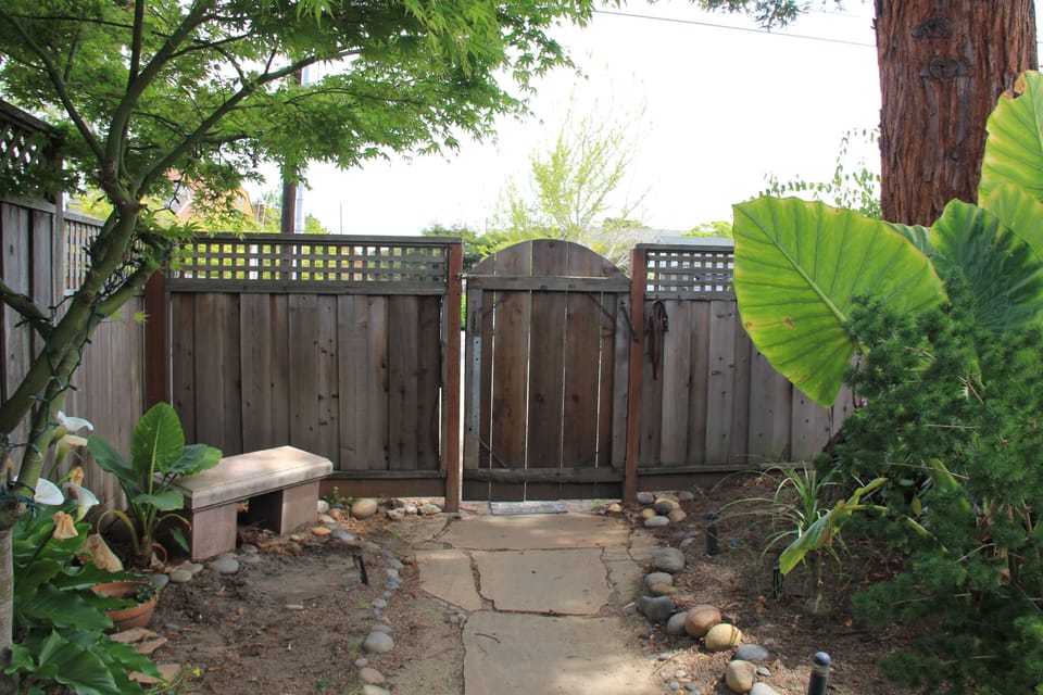 Tranquil garden