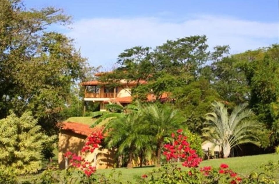 Another View of the House