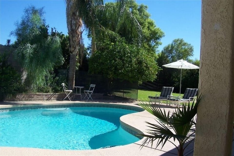 Sparkling pool and part of large grassy yard surrounded by fruit bearing trees