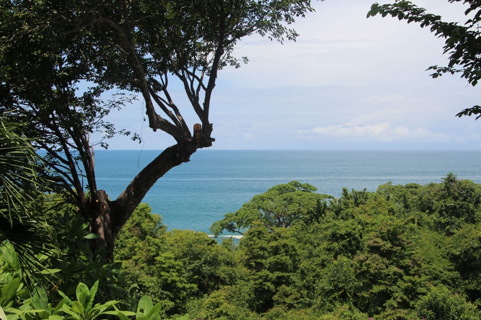 Jungle & Ocean View from our gathering gazebo.