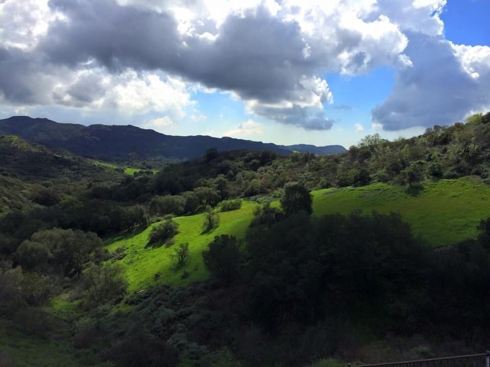 View from back patio on a winter afternoon