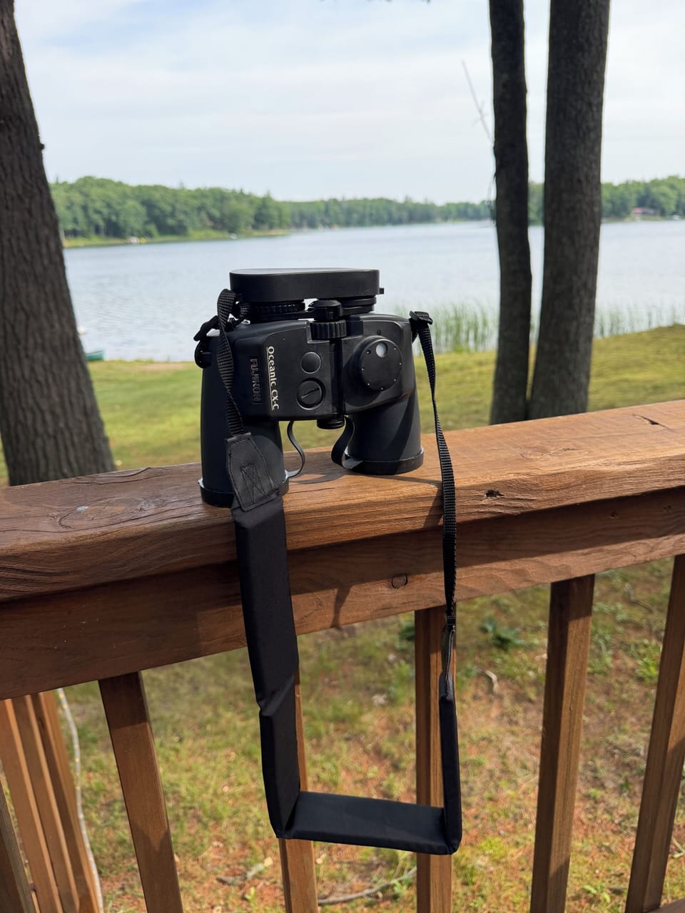 Pro level binocs at the cabin so you can sit on the deck and scout wildlife!