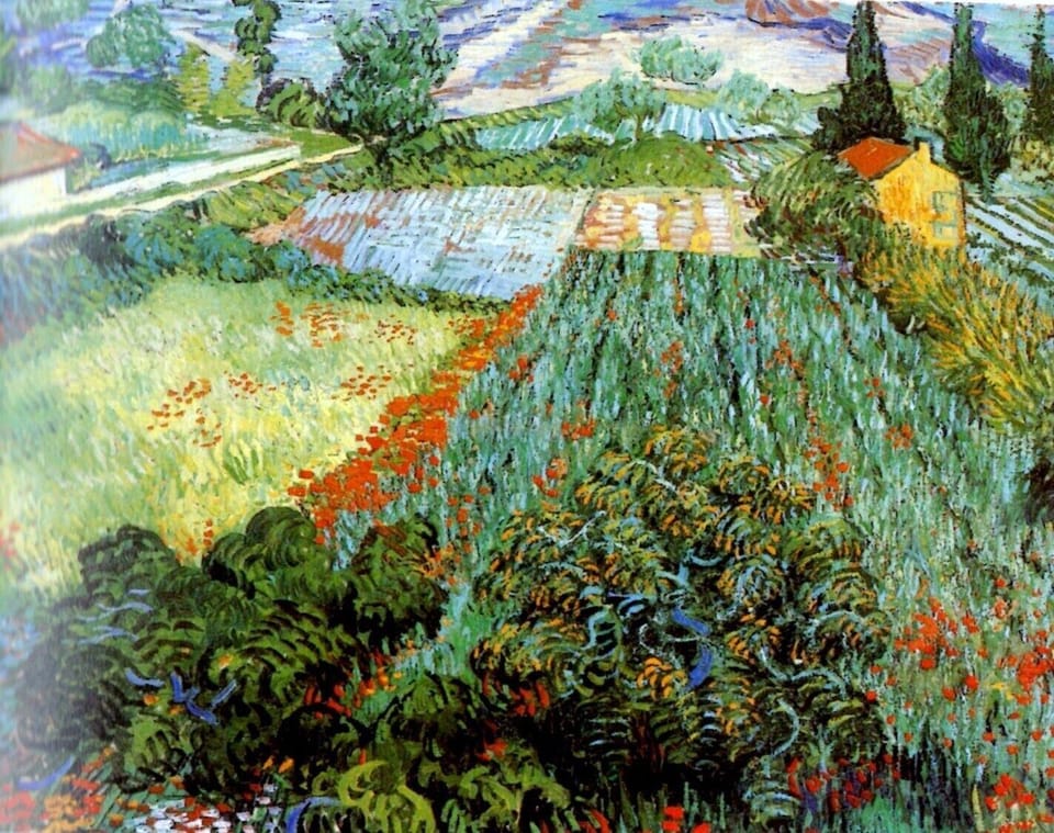 'Field with Poppies' St Remy - early June 1889. By Vincent Van Gogh