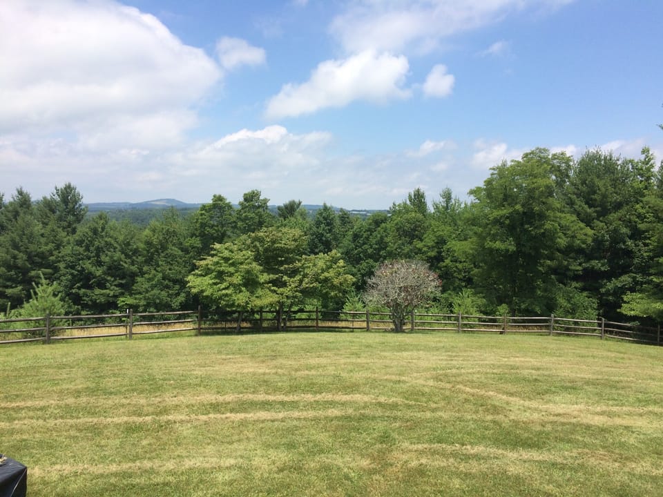 New adventures begin in the front yard,