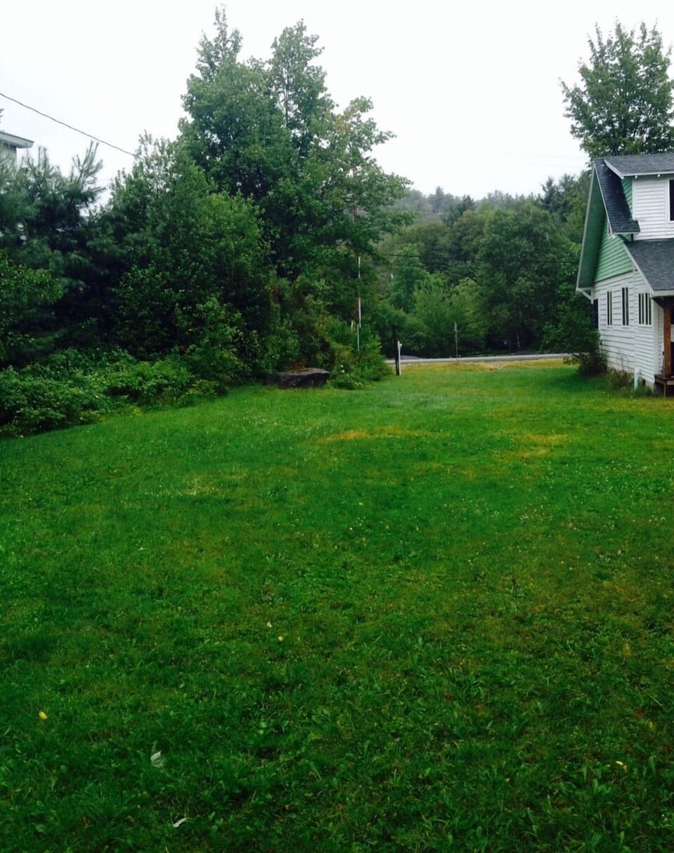 Yard to side of house