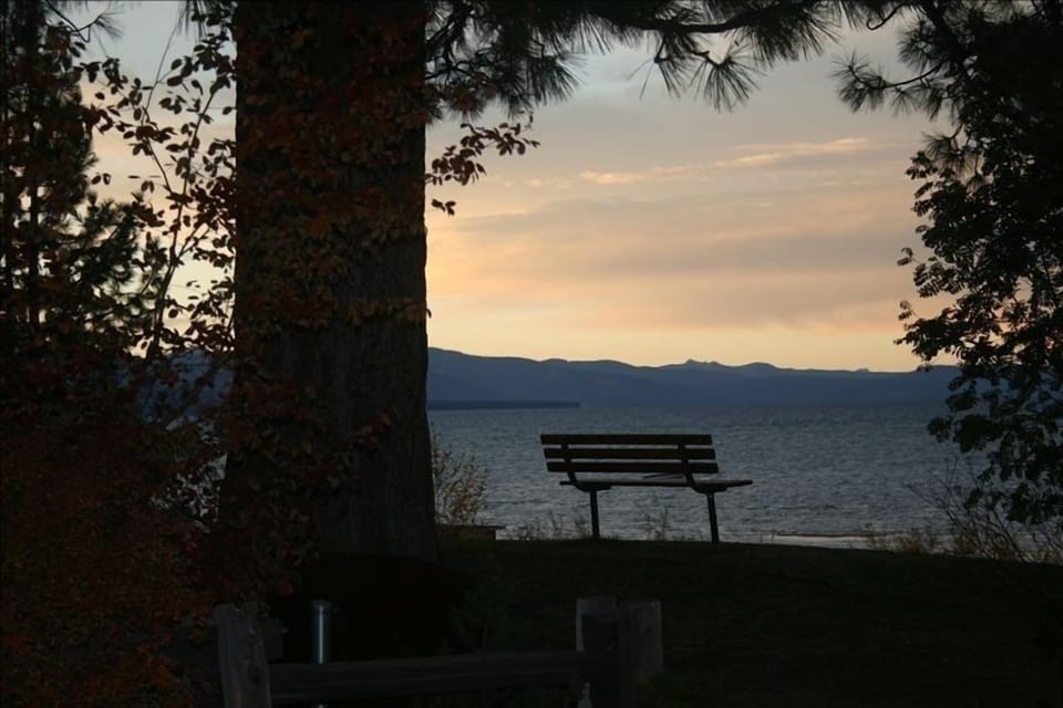 Regan Beach - Ready to Help You Reconnect with Nature