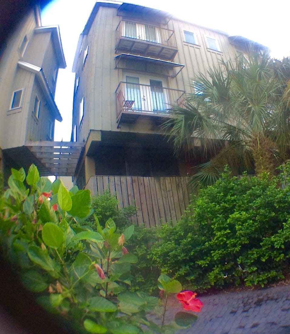 Tropical landscape, looking up at our balcony