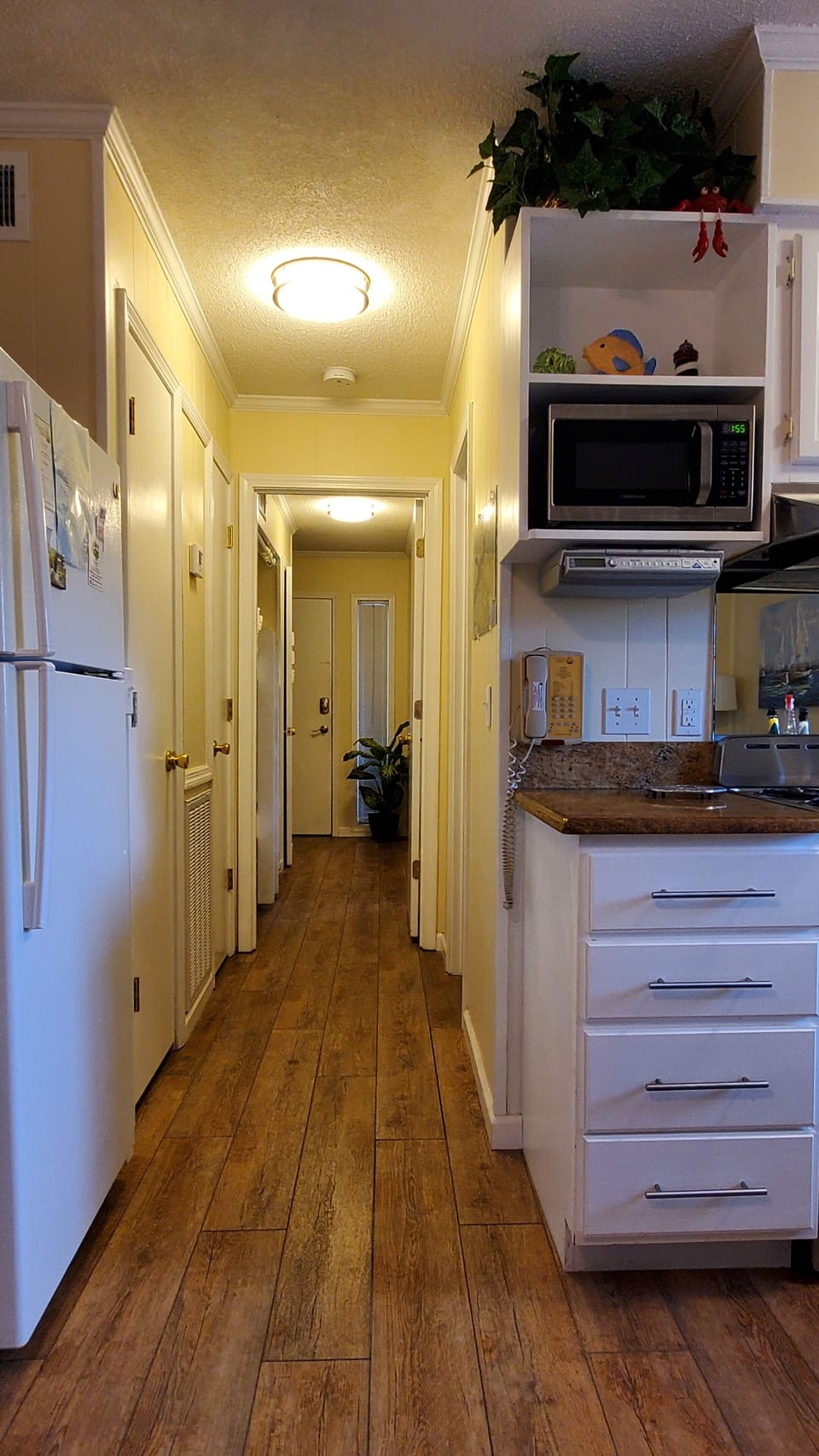 Kitchen Microwave, Radio and Sea Life
