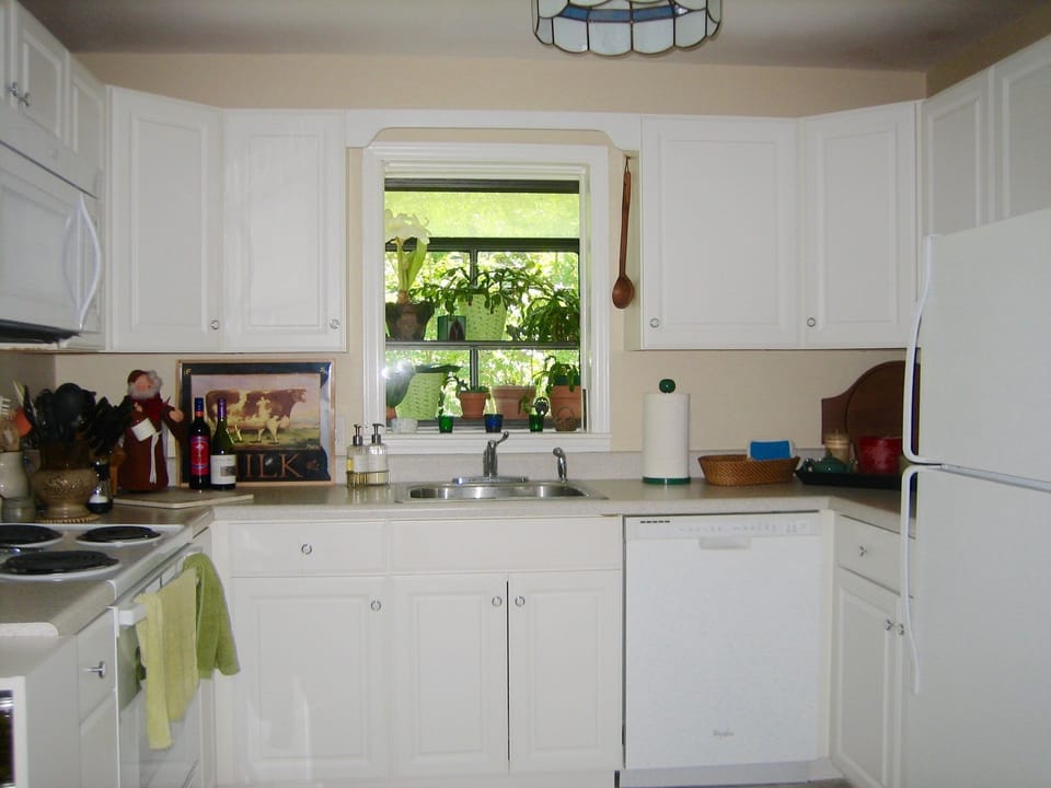 Garden Window