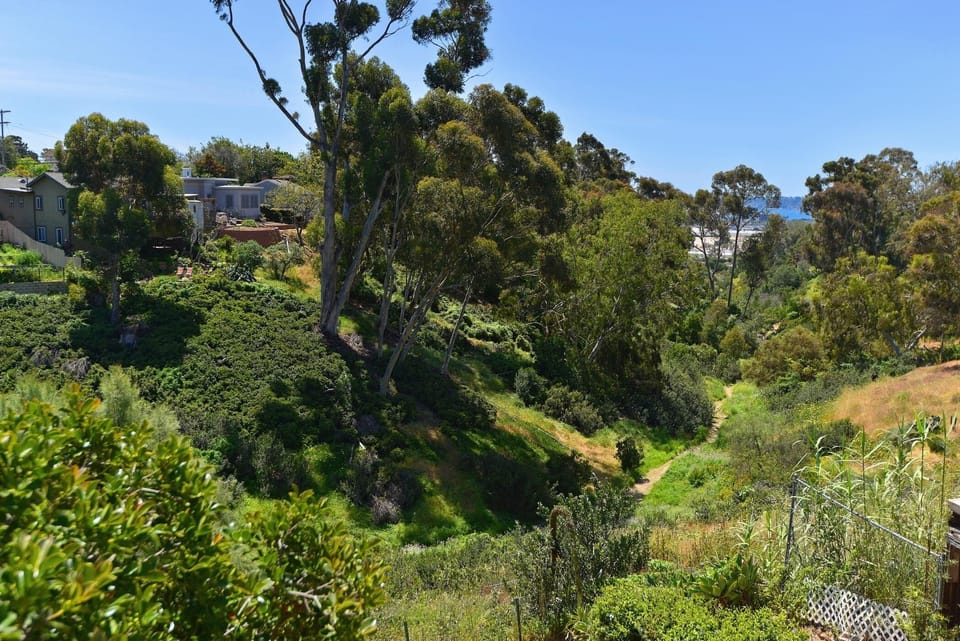 Trail to Little Italy