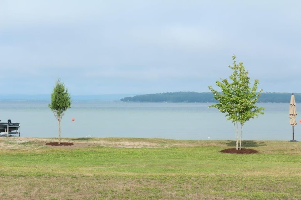 Enjoying the view from our deck!