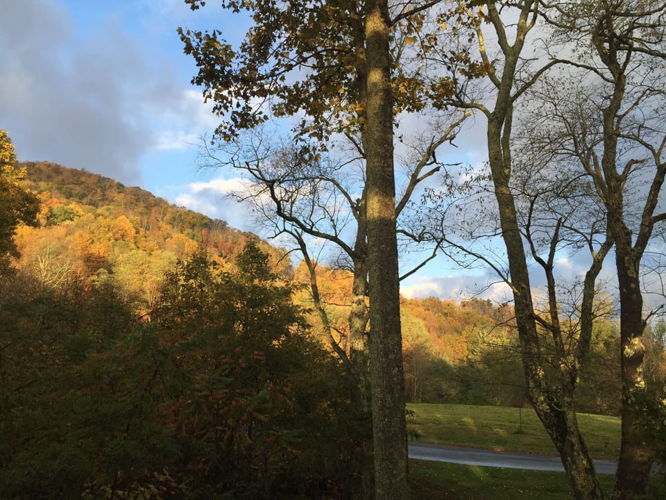 View from the front porch