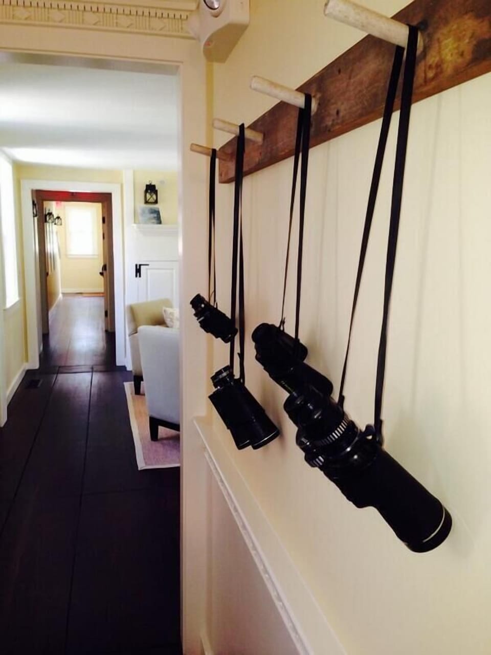 Binoculars for hiking or bird watching
