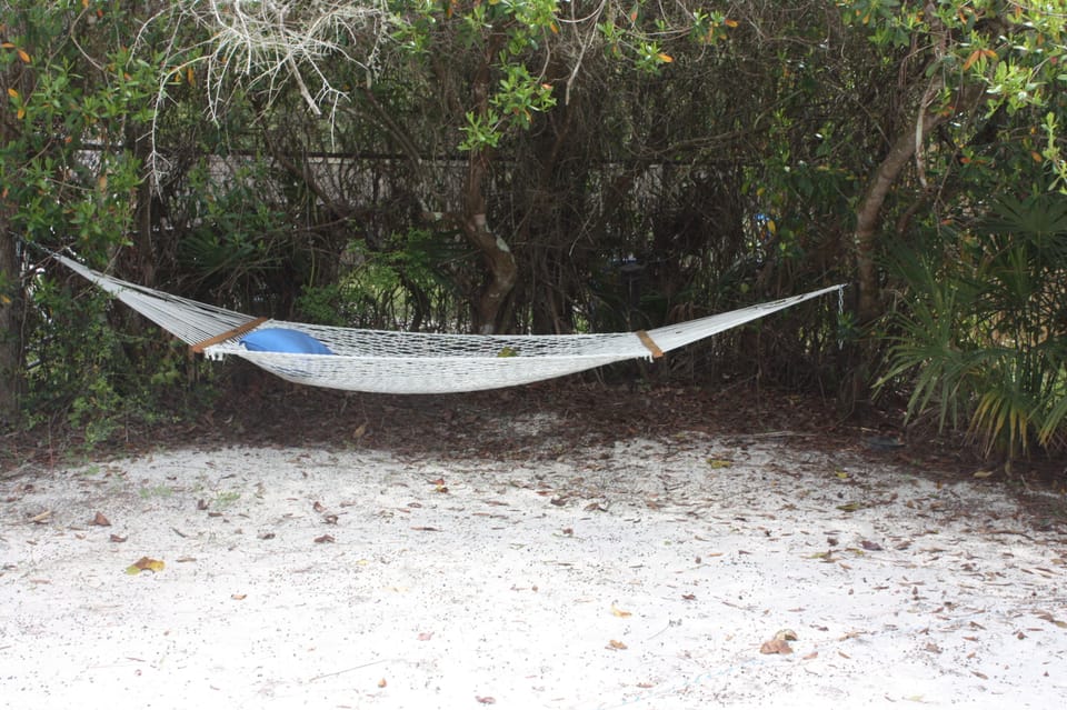 Hammock in the back yard - my favorite place for a nap.