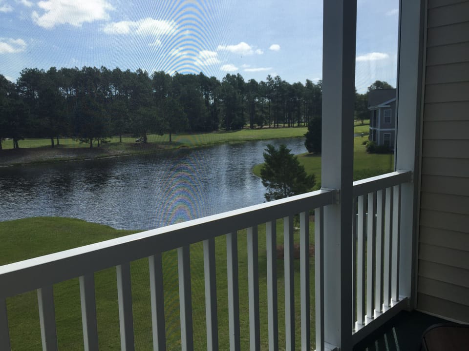 View from Patio