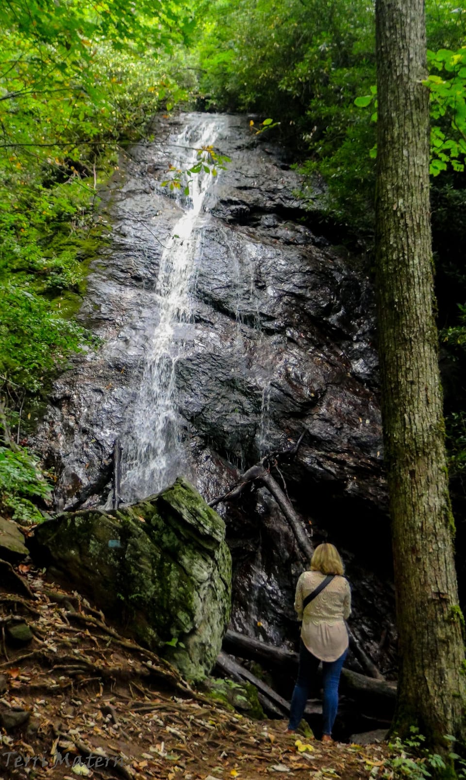 Hiking a nearby waterfall.