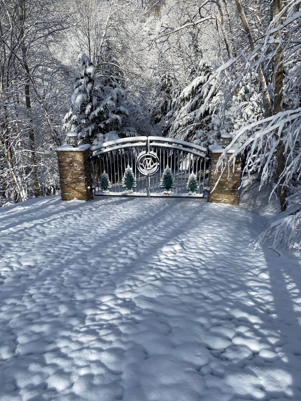 White Christmas 2020