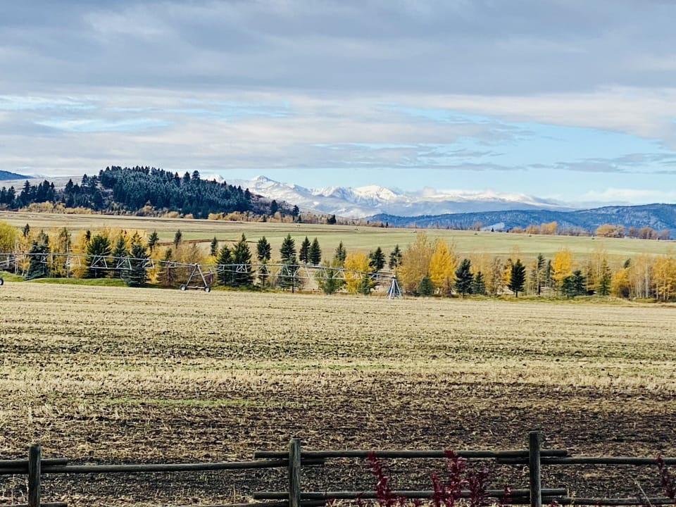 Fall View From Patio