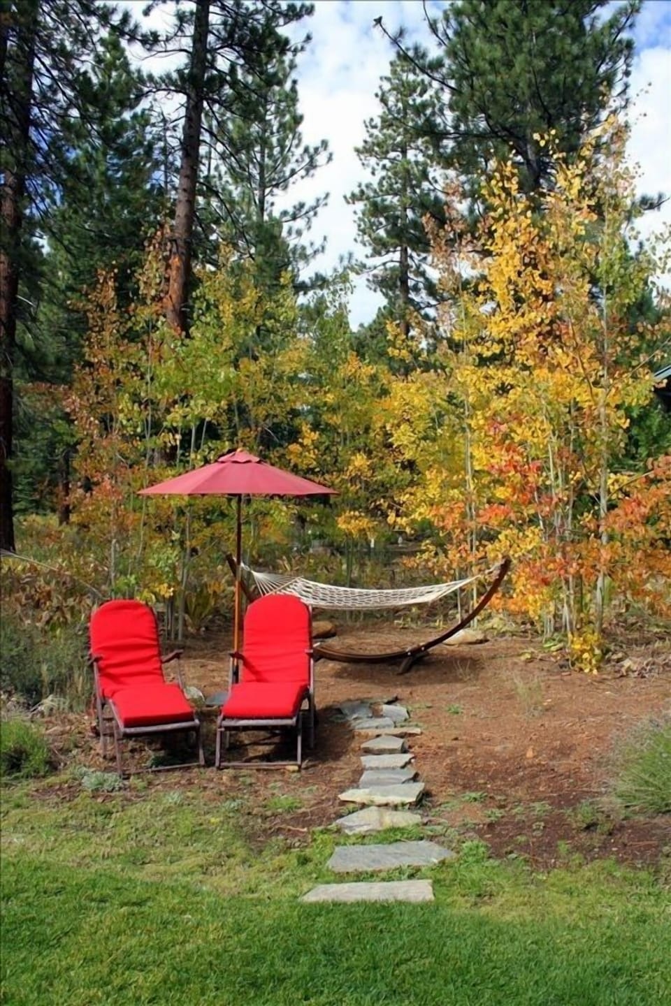 Relax in the hammock surrounded by aspens