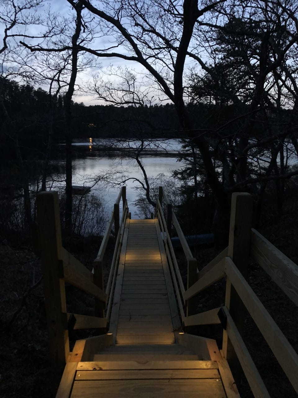 Stairway to the pond