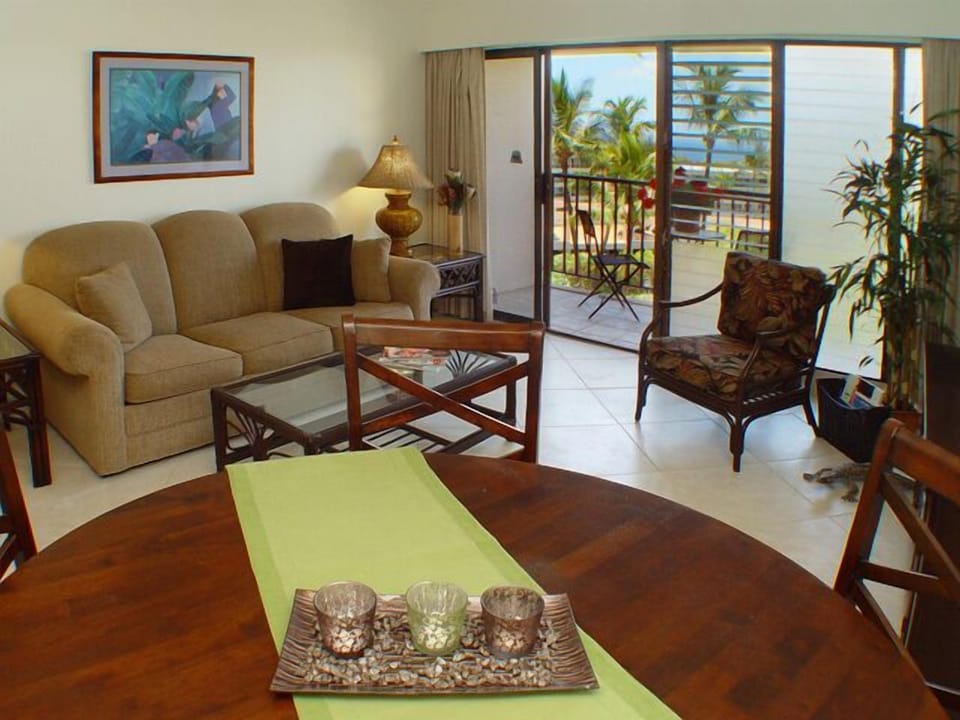Living Room with Sofa / Queen Bed