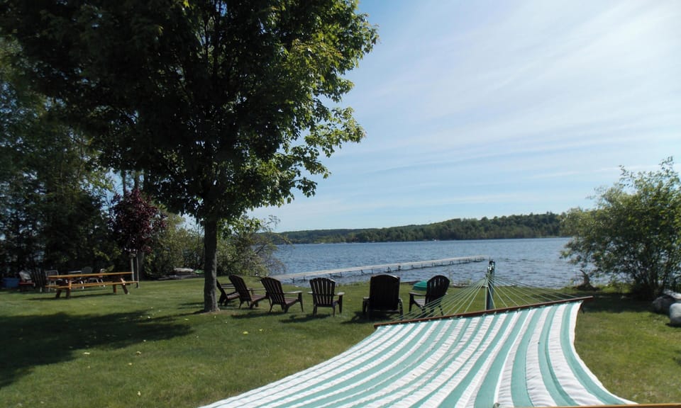 The hammock view
