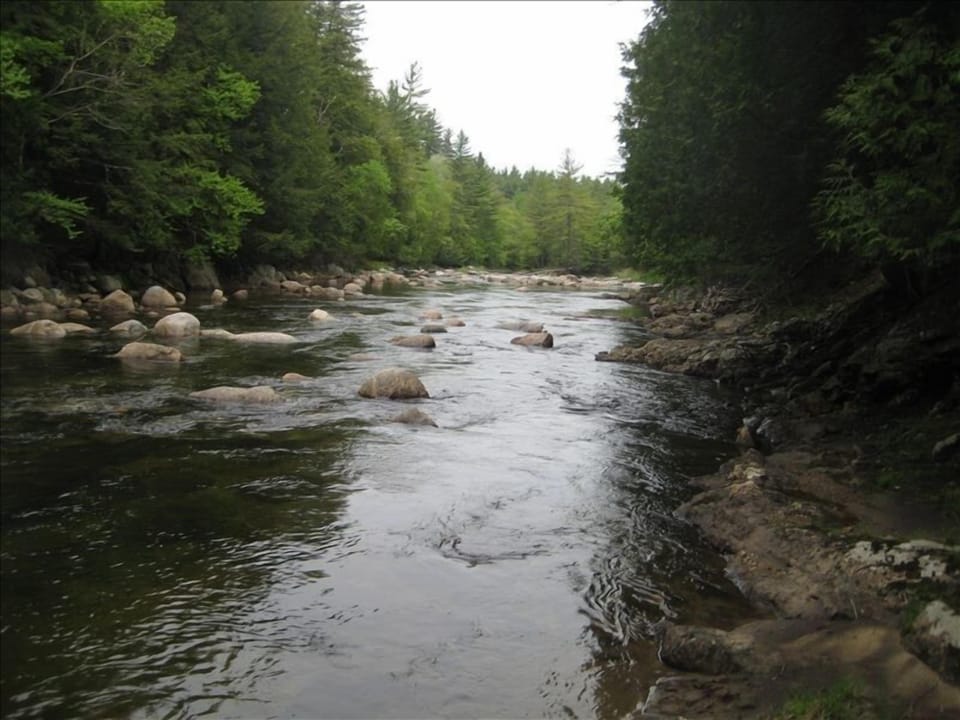 Ausable River in front of property