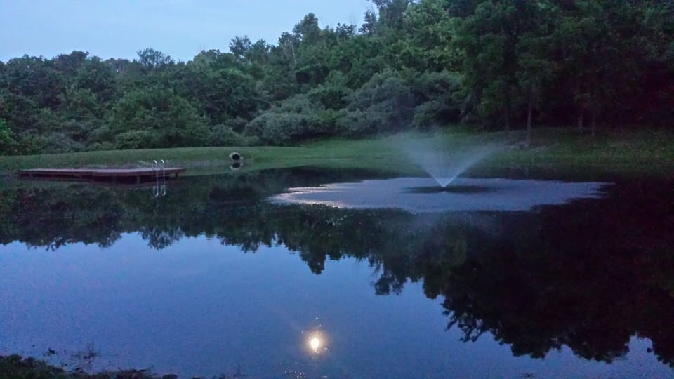 Pond fountain