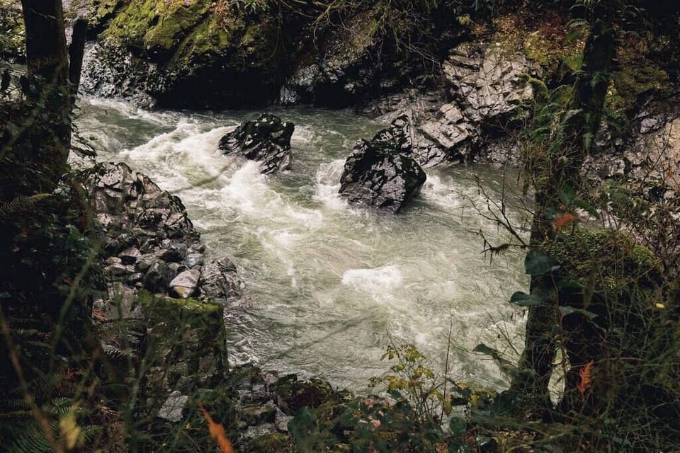 A closer look at the river behind the cabin
